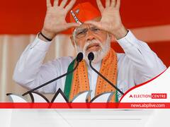 Don't Let Supporters Of Anti-Narmada Forces Set Foot In Gujarat: PM Modi's Veiled Attack On AAP