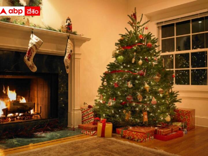 ABP Desam Special: Why do you keep a Christmas tree on Christmas? Christmas Tree: క్రిస్మస్‌ పండుగలో క్రిస్మస్‌ చెట్టును ఎందుకు ఉంచుతారో తెలుసా ?