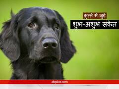 Dog: घर से निकलते वक्त आपको देखकर भौंके कुत्ता, तो मिलते हैं ये अशुभ संकेत