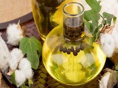 Oilseed Farming: कम लागत में ही तेल के भंडार भर देंगी ये 10 तिलहनी फसलें, टूट जाएंगे कमाई के सभी रिकॉर्ड