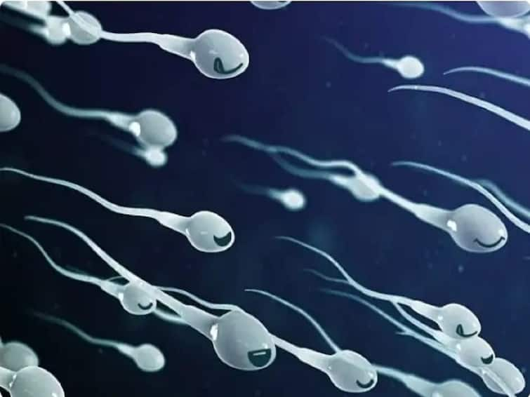 Health Tips Five Effective Ways to Increase Sperm Count Health Tips : शुक्राणूंची संख्या वाढवण्याचे पाच प्रभावी मार्ग