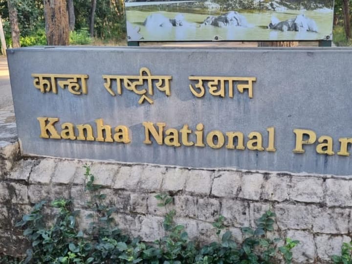 Jabalpur Kanha National Park Guides Salary Has not Increased Since 4 Years Staff Says No one is Concerned ANN Jabalpur News: चार साल से नहीं बढ़ी कान्हा नेशनल पार्क के गाइड्स की सैलरी, नाराज कर्मियों का आरोप- नहीं ले रहा कोई सुध