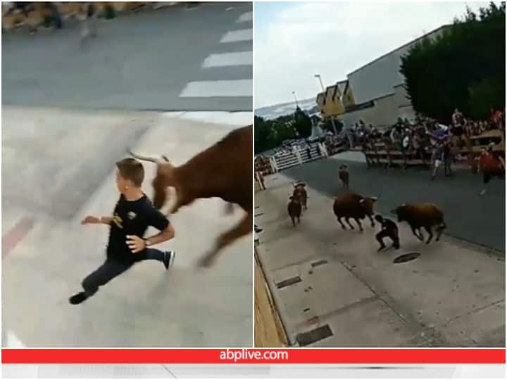 Man seen escaping from attack of angry bulls video goes viral on social media Video: एक के बाद एक कई सांडों ने किया हमला, अच्छी किस्मत के कारण सभी से बचा शख्स