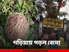 ফের উত্তপ্ত গড়িয়া, নরেন্দ্রপুরের পর ফের বোমাবাজি, পঞ্চায়েত ভোটের আগে ত্রস্ত এলাকা