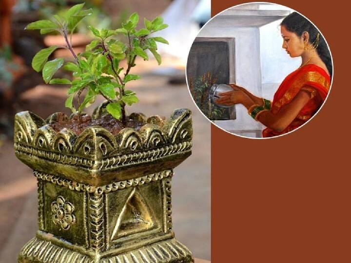 घर में नकारात्मकता ऊर्जा से परिवार में विवाद की स्थिति पैदा होती है. ऐसे में रोजाना सुबह तुलसी की पूजा करनी चाहिए और फिर जल में कुछ तुलसी की पत्तियां डालकर उस जल को घर के सभी कोनों छिड़कना चाहिए. इससे सुख का वास होता है.