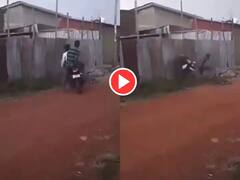 Funny Video: ਨੋਜਵਾਨ ਮੁੰਡੇ ਨੇ ਕੀਤੀ ਭਾਰੀ ਬਾਈਕ ਚਲਾਉਣ ਦੀ ਗਲਤੀ, ਸਟਾਰਟ ਹੁੰਦੇ ਹੀ ਕੰਧ ਨਾਲ ਟਕਰਾ ਗਿਆ - ਦੇਖੋ ਵੀਡੀਓ