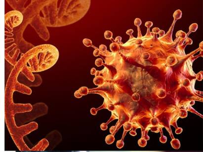 scientists revive 48,500 year old zombie virus buried in ice ZOMBIE VIRUS: மீண்டும் வெளிவந்த ஜாம்பி வைரஸ்.. 48,500 ஆண்டுகள் கழித்து திரும்பும் ஆபத்து?என்னதான் நடக்குது?