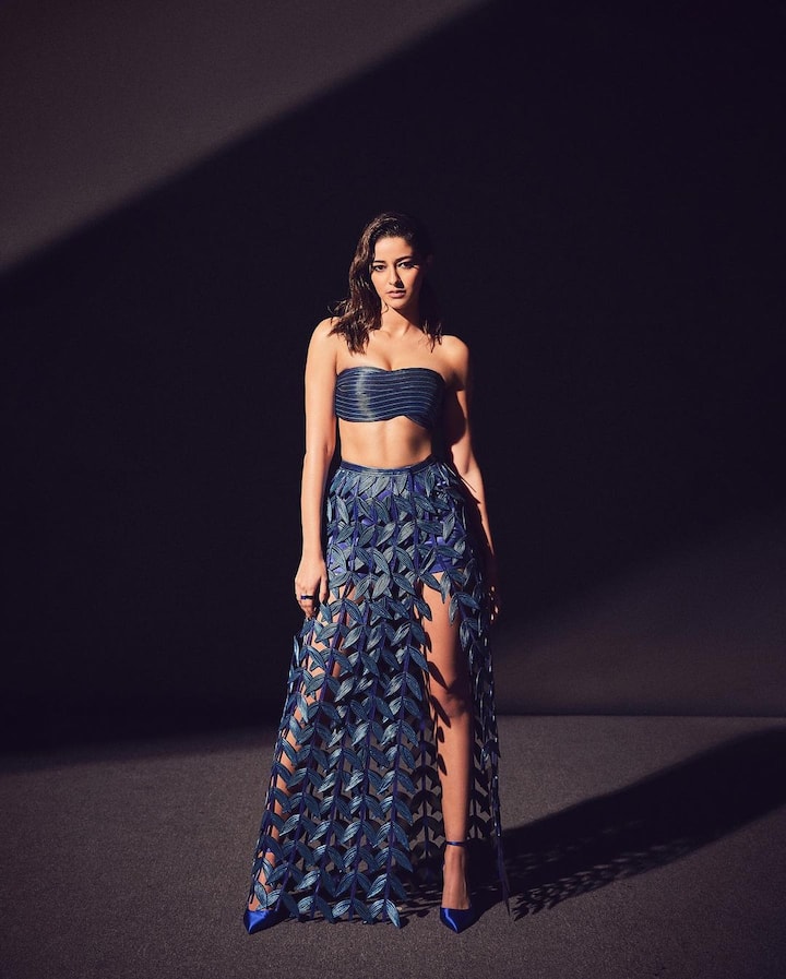 नेट स्क्विन ड्रेस में अनन्या किसी अप्सरा से कम नहीं लग रही हैं.