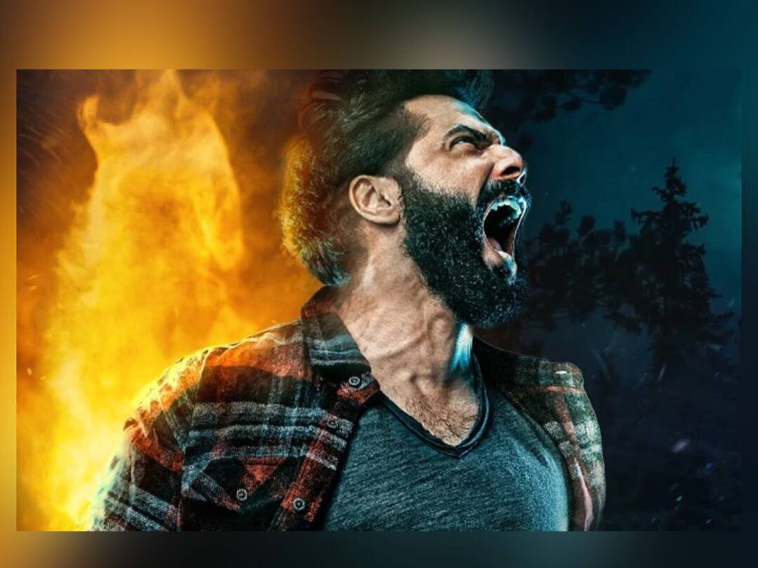 bhediya box office collection day 4 varun dhawan kriti sanon Bhediya Box Office: 'भेडिया' चित्रपटाच्या कमाईत घसरण; जाणून घ्या कलेक्शन