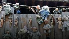 Shocking News: ਦਰਖਤ 'ਤੇ ਲਟਕਦੀਆਂ ਭਿਆਨਕ ਗੁੱਡੀਆਂ ਦਾ ਟਾਪੂ, ਬਾਹਾਂ ਫੈਲਾ ਕੇ ਪੁਕਾਰਦੀਆਂ ਹਨ ਅਤੇ ਰਾਤ ਢਲਦਿਆਂ ਹੀ ਕਰਨ ਲੱਗ ਪੈਂਦੀਆਂ ਹਨ ਗੱਲਾਂ!