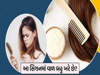 Health tips: શિયાળામાં વાળ શુષ્ક થઇ જાય છે તો લગાવો આ 5 વસ્તુ
