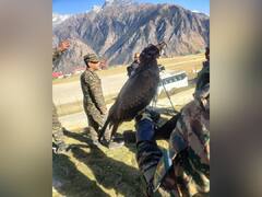 Indian Army Demonstrates Trained Kites Destroying Enemy Drones During 'Yudh Abhyas'. WATCH