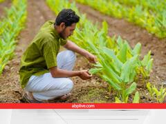 ऑर्गेनिक खेती करने वाले किसानों को मिल रहा 1-1 लाख रुपये का इनाम, 10 दिसंबर तक करें आवेदन