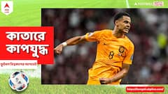 তিনে তিন! ফের গোল করে নেদারল্যান্ডসকে জেতালেন গ্যাকপো