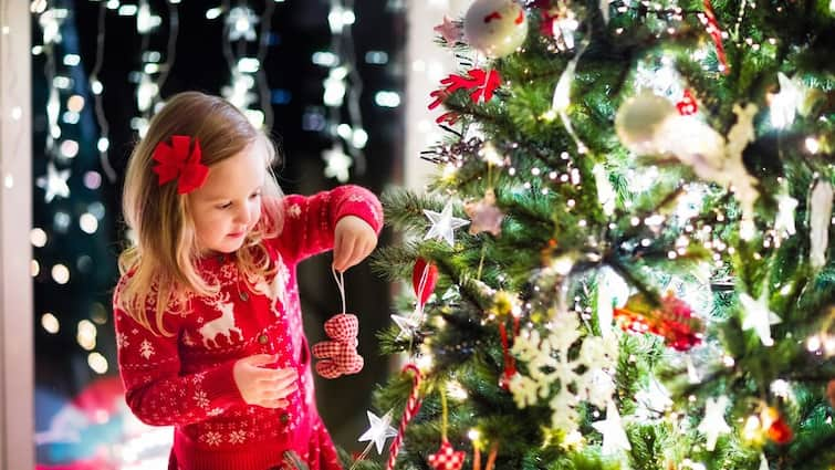 Merry Go Round Happiness, Vastu Tips on the Importance Christmas 2022: ક્રિસમસ પર ઘરે લાવો ક્રિસમસ ટ્રી, જાણો તેના નિયમો અને સાચી દિશા