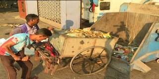 Suspected Buffalo's Head Found In Thane Locality Dustbin Sparks Tension In City