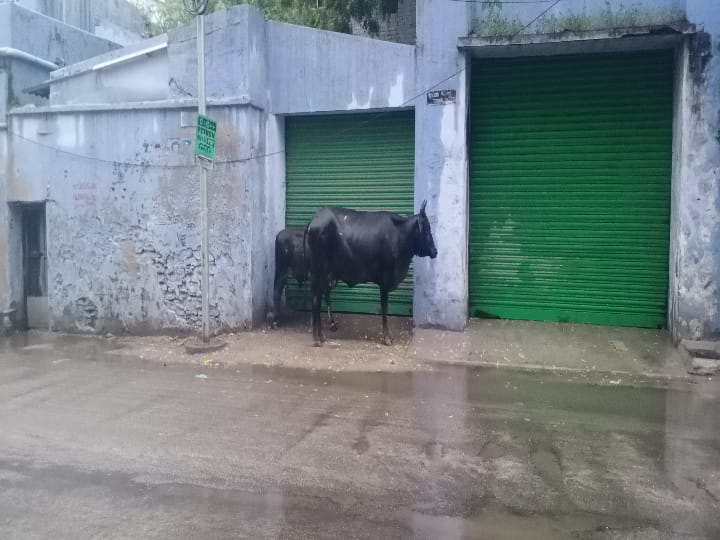 தூத்துக்குடியில் பரவலாக மழை...வழக்கம்போல் நீரில் மூழ்கிய பிரதான சாலை..!