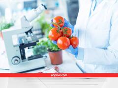 धरती छोड़िए... अब तो अंतरिक्ष में भी लहलहाएगी टमाटर की फसल, जानिए इस नए मिशन के बारे में सब कुछ