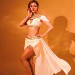 PHOTO : ‘बेबी डॉल मे सोने दी...’, रुबीना दिलैकच्या घायाळ करणाऱ्या अदा!