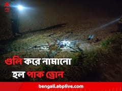 রাতের আঁধারে উড়ে আসা পাক ড্রোনকে গুলি, অমৃতসরে চোরাচালানের চেষ্টা রুখল বিএসএফ