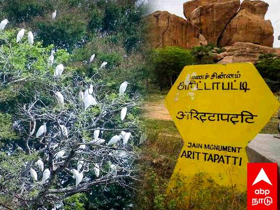 Arittapatti : தமிழ்நாட்டின் முதல் பல்லுயிர் பெருக்க கிராமம்.. மதுரைக்கு புகழ் சேர்த்த அரிட்டாபட்டி..