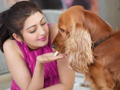 Pranitha Subhash: పెంపుడు కుక్కతో ఆటలాడుతున్న క్యూట్ బ్యూటీ ప్రణీత