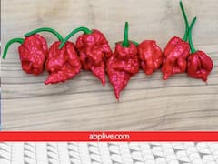 एक आदमी ने सबसे तीखी मिर्च खाने का रिकॉर्ड बनाया... वैसे मिर्च कितनी तीखी है इसको कैसे मापते हैं?