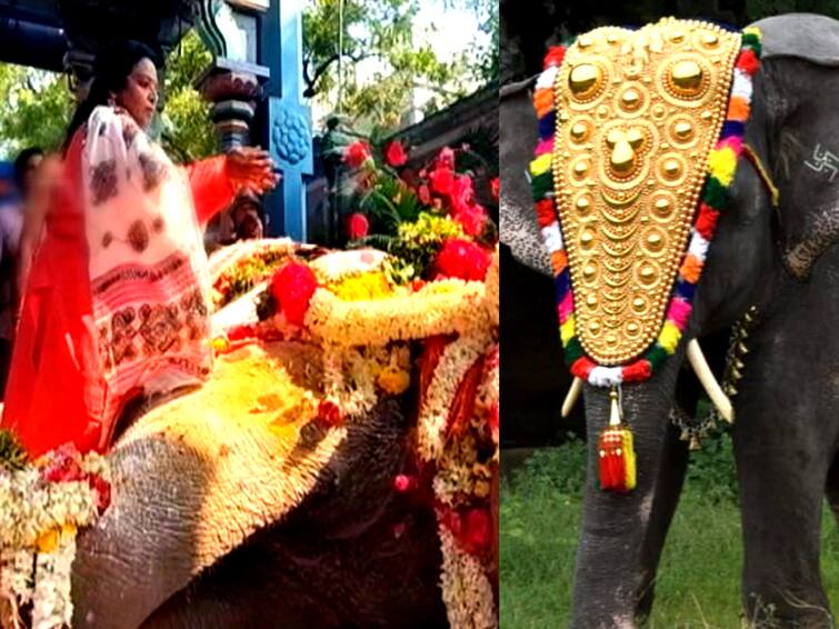 Puducherry Manakulla Vinayagar temple elephant Lakshmi death... Governor Tamilisai Tributes நடைபயிற்சி.. மயக்கம்.. வேதனையில் ஆழ்த்திய மணக்குள விநாயகர் கோயில் யானை உயிரிழப்பு.. ஆளுநர் தமிழிசை அஞ்சலி