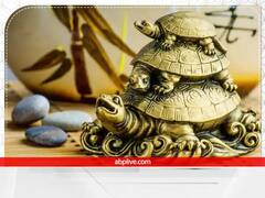 New Year 2023: नया साल शुरू होने से पहले घर में लाएं फेंगशुई की ये 7 चीजें, मां लक्ष्मी की होगी कृपा