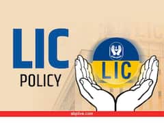 LIC की यह योजना कर देगी मालामाल! रोजाना 260 रुपये की बचत और मैच्योरिटी पर मिलेंगे 54 लाख 