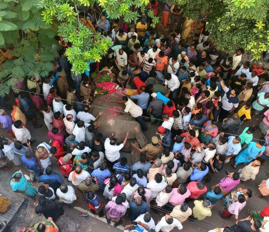 Manakula Vinayagar Lakshmi Death : மயக்கம்.. படபடப்பு.. மணக்குள விநாயகர் கோவில் யானை லட்சுமி உயிரிழப்பு.. கதறியழுத பொதுமக்கள்..