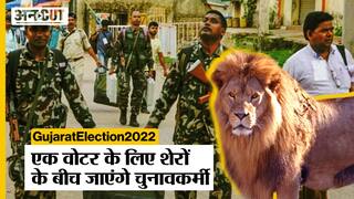 Gujarat Election: जंगल में सिर्फ 1 शख्स के लिए बनी Polling Booth, शेरों के दहशत के बीच होगी Voting