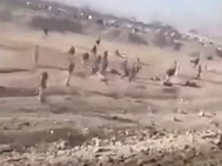 पाकिस्तान: पुलिस को निशाना बनाकर क्वेटा में फिदायीन हमला, 3 की मौत, 24 से ज्यादा घायल Pakistan Fidayeen attack suicide attack in Quetta targeting police 3 killed more than 24 injured पाकिस्तान: पुलिस को निशाना बनाकर क्वेटा में फिदायीन हमला, 3 की मौत, 24 से ज्यादा घायल