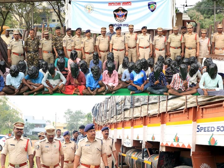 Tirupati: Police arrests Red Sandalwood Labourers and Seized items worth Rs 2 crore DNN Tirupati: తగ్గేదేలే, ఛేజ్ చేసి ఎర్రచందనం కూలీలను పట్టుకున్న పోలీసులు - సినిమా సీన్ తరహాలో !