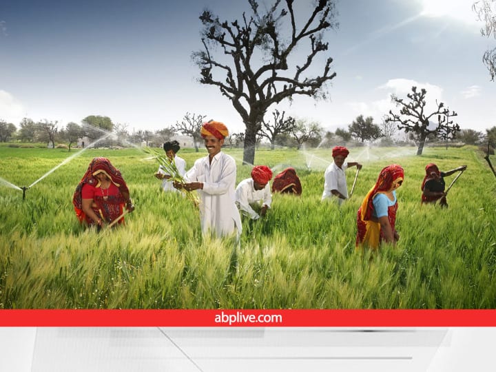 Rajasthan Govt Plan to Provide Crop loan to 1 lakh 37 thousand farmers till March 2023 Agri Loan Scheme: 3.17 किसानों को मिलने वाला है बिना ब्याज का फसल ऋण, आपको भी चाहिए तो फटाफट पढ़ लें डीटेल