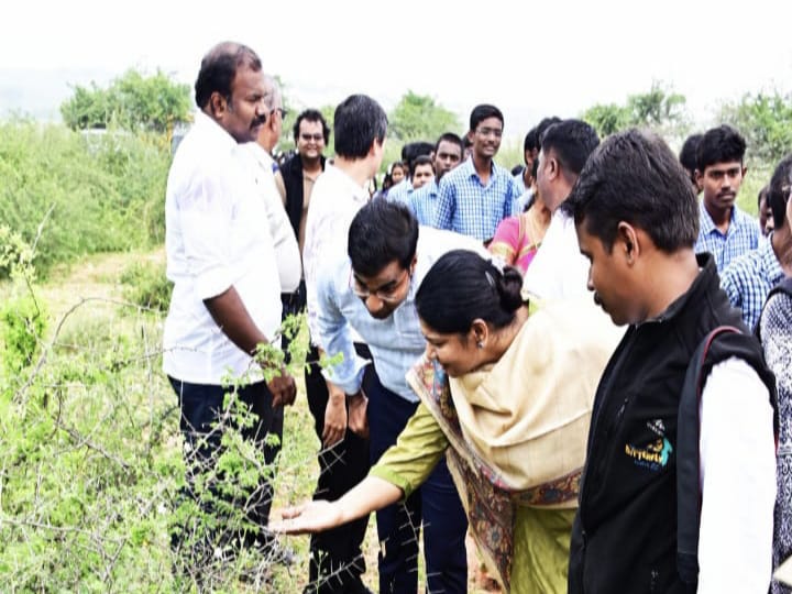 காலநிலை மாற்றத்தால் இயற்கை வளங்கள் அழிந்து வருகிறது - எம்பி கனிமொழி