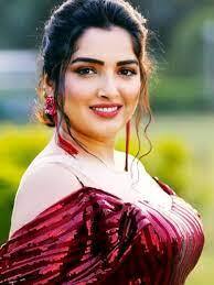 Pawan Singh से लेकर Khesari Lal Yadav और Nirahua तक के साथ हिट Films, Amrapali Dubey की कहानी