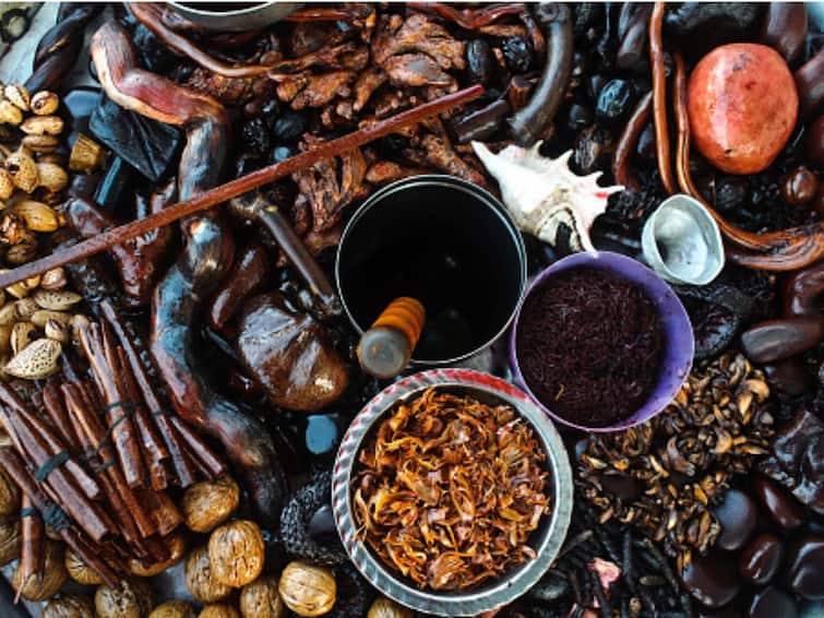Why Ayurveda Is Gaining Popularity Worldwide health Paradigm Shift There Has Been A Paradigm Shift In Health, And That Has Opened Up Scope For Global Expansion Of Ayurveda
