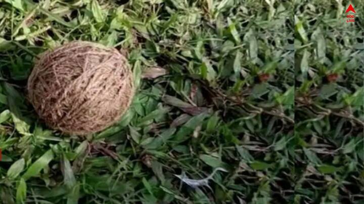 ব্যান্ডেলে স্কুলের মাঠে বোমা। নলডাঙা নারায়ণপুর প্রাইমারি স্কুলের সামনে ৩টি তাজা বোমা (Bomb Rescue)। স্কুল শুরুর আগে বোমা উদ্ধারের ঘটনায় আতঙ্ক। খবর পেয়ে বোমা উদ্ধার করে চুঁচুড়া থানার পুলিশ। পঞ্চায়েত ভোটের আগে সন্ত্রাস ছড়ানোর চেষ্টা তৃণমূলের, দাবি বিজেপির।