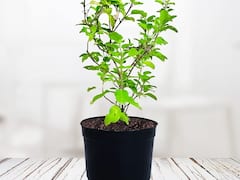 Morning Tips: खुशियों से भर जाएगा जीवन, बस सवेरे उठकर करें ये 5 काम