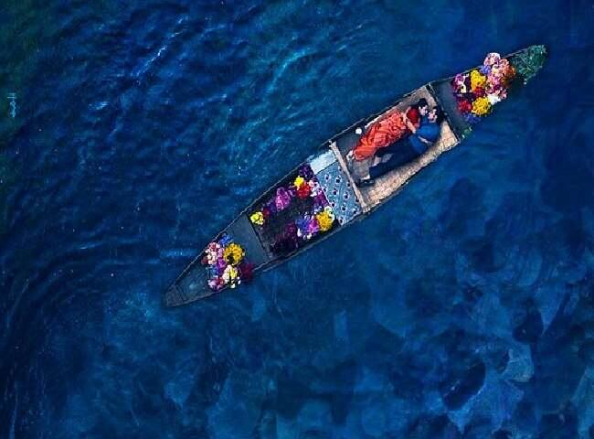 शिकारा – आदिल खान और सादिया खतीब की फिल्म ‘शिकारा’ में भी कश्मीरी पंडितों के पलायन की कहानी दिखाई गई है. ये फिल्म राहुल पंडिता की बुक 'अवर मून हैज ब्लड क्लॉट्स' से प्रेरित थी.