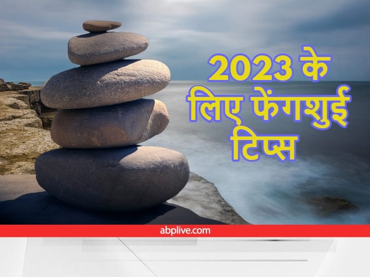 Feng Shui New Year Tips:  नए साल से पहले घर में फेंगशुई के कुछ आइटम घर में जरूर लाएं. इससे साल भर आपके घर में सुख-समृद्धि बनी रहेगी. आइए जानते हैं फेंगशुई से जुड़ी इन खास चीजों के बारे में.