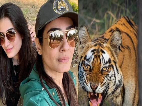 Raveena Tandon's visit to Satpura Reserve under scanner after video shows vehicle near tiger Tiger Reserve Controversy: રવીના ટંડન વિવાદોમાં ફસાઈ, ટાઈગર રિઝર્વમાં ફોટોગ્રાફી મામલાની તપાસ શરૂ