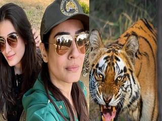 Tiger Reserve Controversy: રવીના ટંડન વિવાદોમાં ફસાઈ, ટાઈગર રિઝર્વમાં ફોટોગ્રાફી મામલાની તપાસ શરૂ