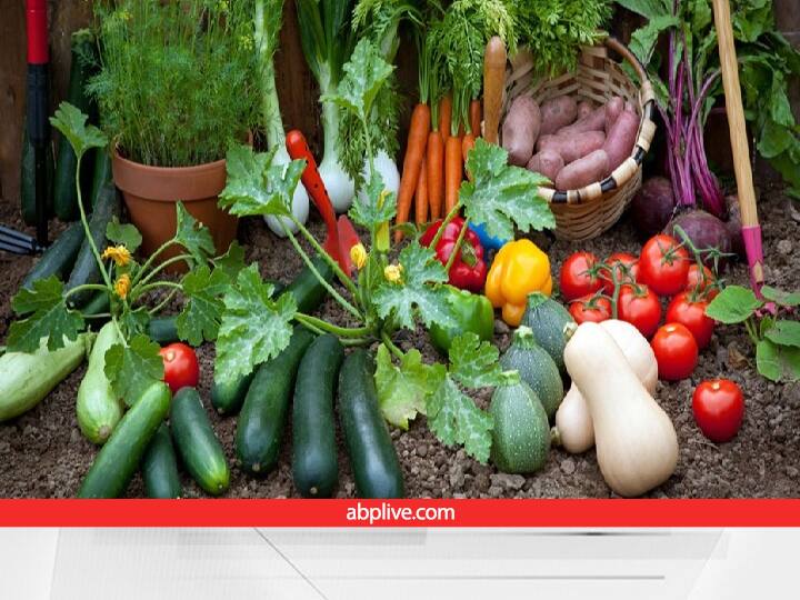 Vegetable Gardening at home in december or Home Grown Vegetables of winter season Gardening in December: आप भी फ्लैट में रहते हैं तो आसानी से उगाएं सर्दियों की ये सब्जियां-फल, अच्छी सेहत के साथ खर्च होगा कम