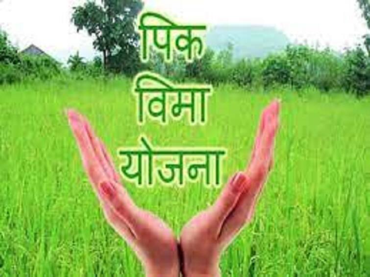 Crop Insurance: Big decision of AIC company, which is looking after the work of crop insurance scheme, offices in 16 districts will be closed, according to sources.