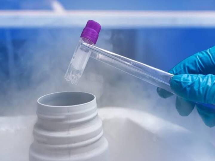Embryo Freezing Know The Process And Facts