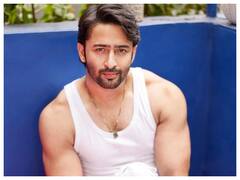 Rupali Ganguly से लेकर अर्जुन बिजलानी तक...साइड बिजनेस से करोड़ों कमाते हैं TV के ये स्टार्स