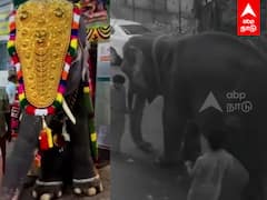 Manakula Vinayagar Temple Elephant : மணக்குள விநாயகர் யானை மரணம்! பதைபதைக்கும் CCTV காட்சி