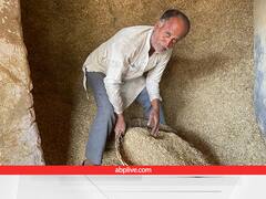 यहां से आधे दामों पर खरीदें पशु चारा, साइलेज पर भी 75% सब्सिडी... कम खर्चे में कर सकेंगे पशुपालन